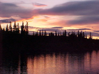 sunset, water and trees