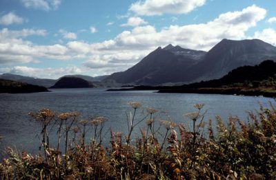 Kodiak Island mountain/beach scene