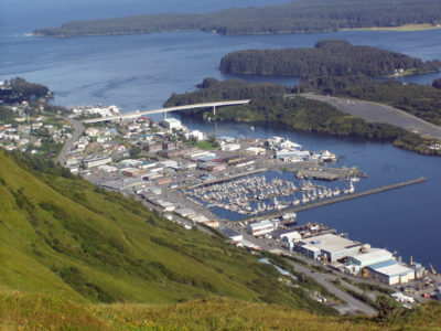 Kodiak from Pillar Mountain