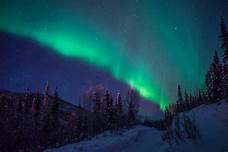 Aurora borealis, winter scene