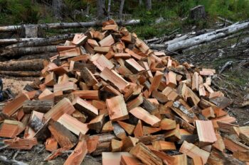 Pile of cut firewood